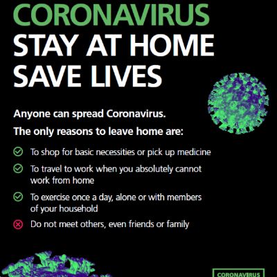 Stay at Home Government Poster.PNG